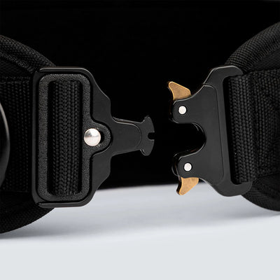 Cinto de Lastro 2023 